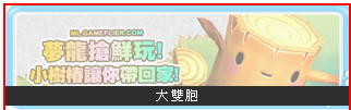 大雙胞